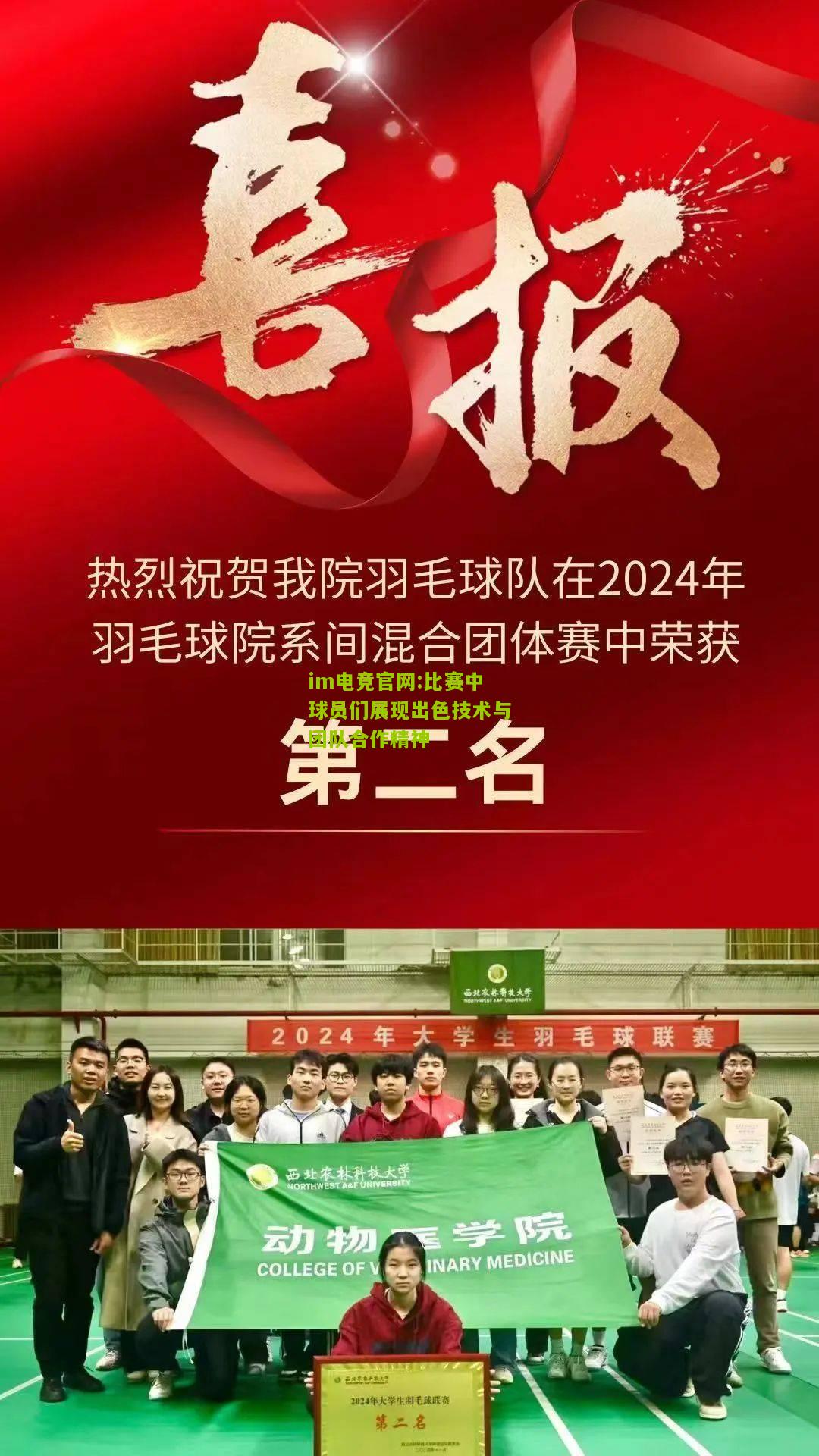 比赛中球员们展现出色技术与团队合作精神